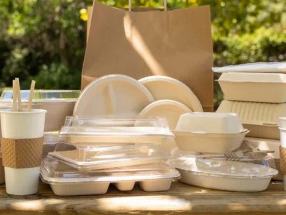 Bagasse Products